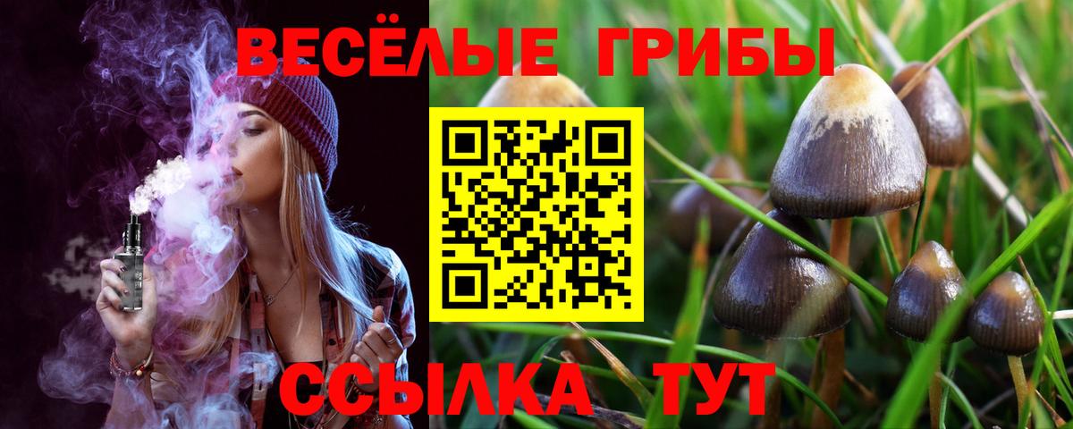 Галлюциногенные грибы Magic Shrooms  Вход с VPN  Уссурийск  Галлюциногенные грибы Cubensis 